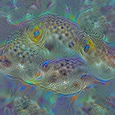 n02655020 puffer, pufferfish, blowfish, globefish